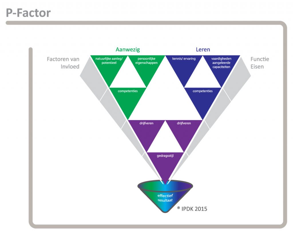 P-Factor, VIPD fundamentals​