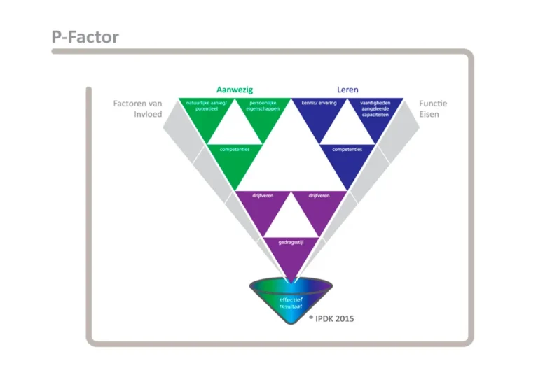 p factor home2 P-factor