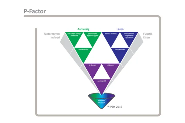 p factor home1 Managementontwikkeling