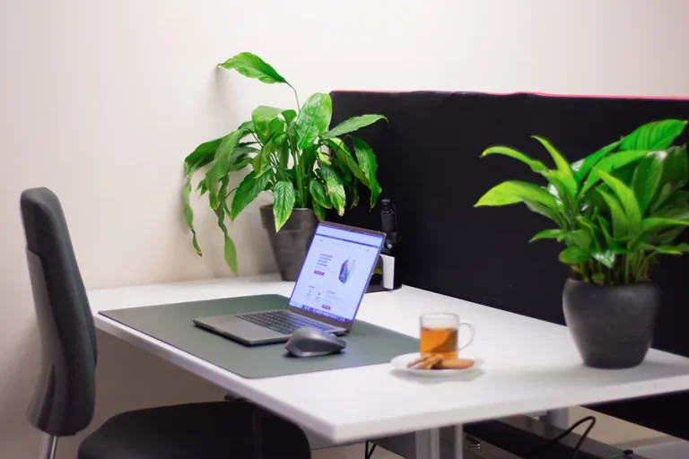 VIPD Kelder flex plekken verhuur